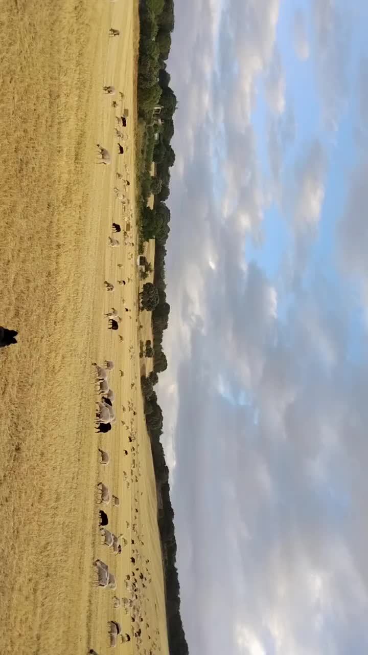 @Iv&aacute;n.