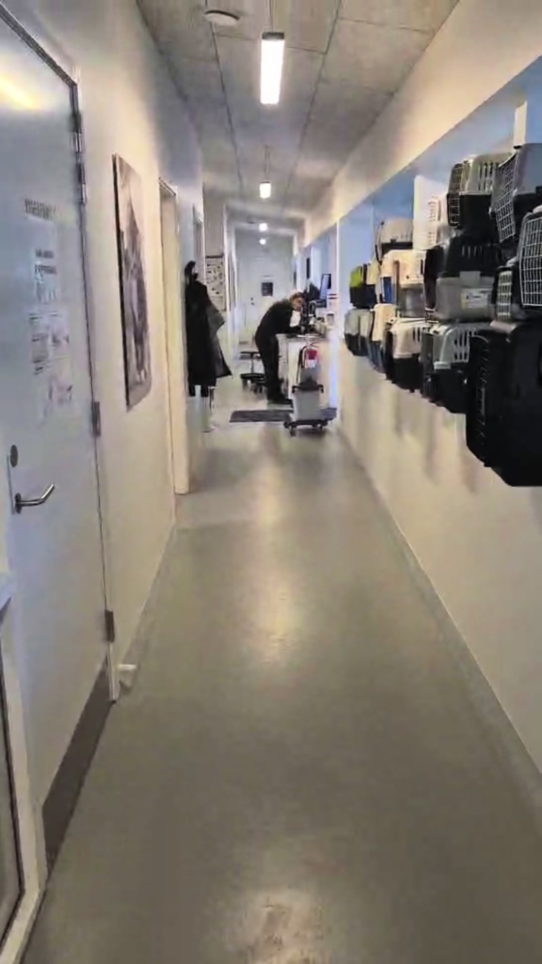 @Dyrenes Beskyttelse Århus