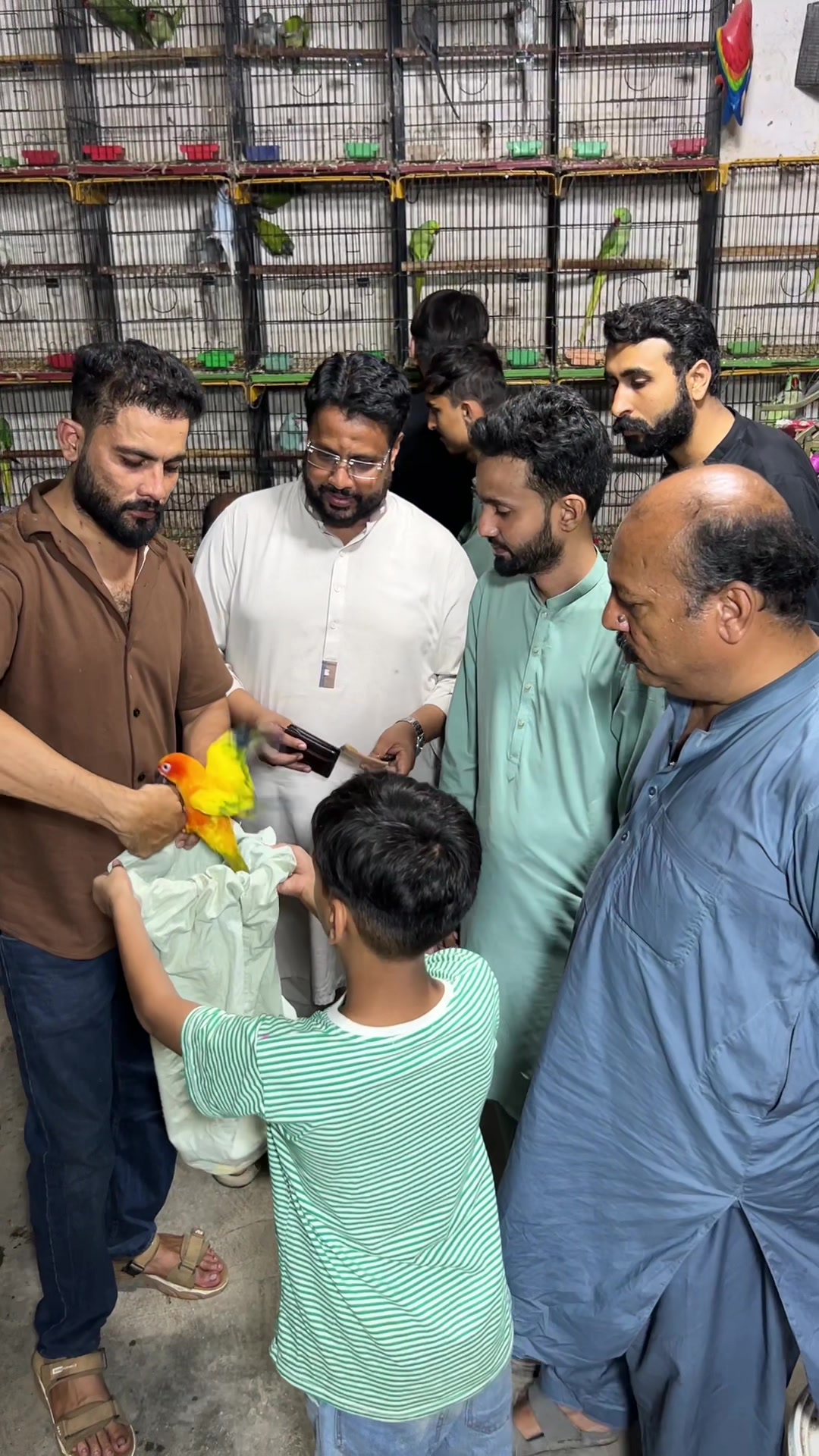 @Usama pet shop Karachi