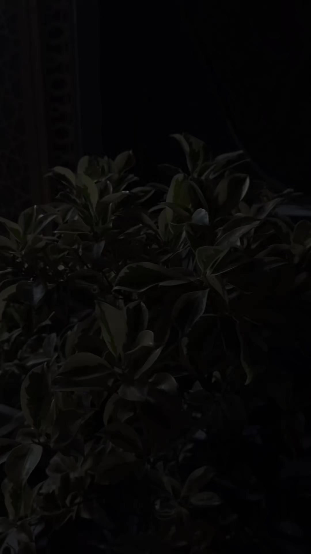 @𝑬 𝑴 𝑨 𝑵 ♥️