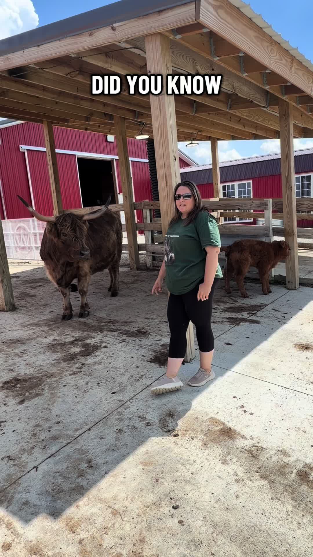 @Westmeister Farm