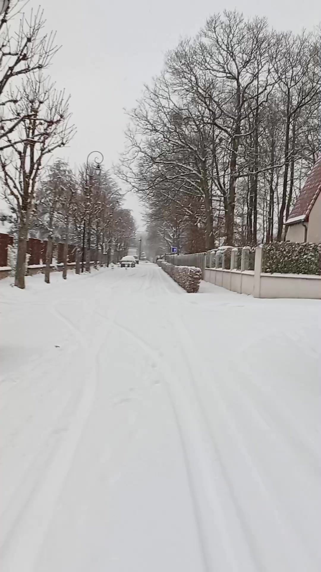 @limfranc