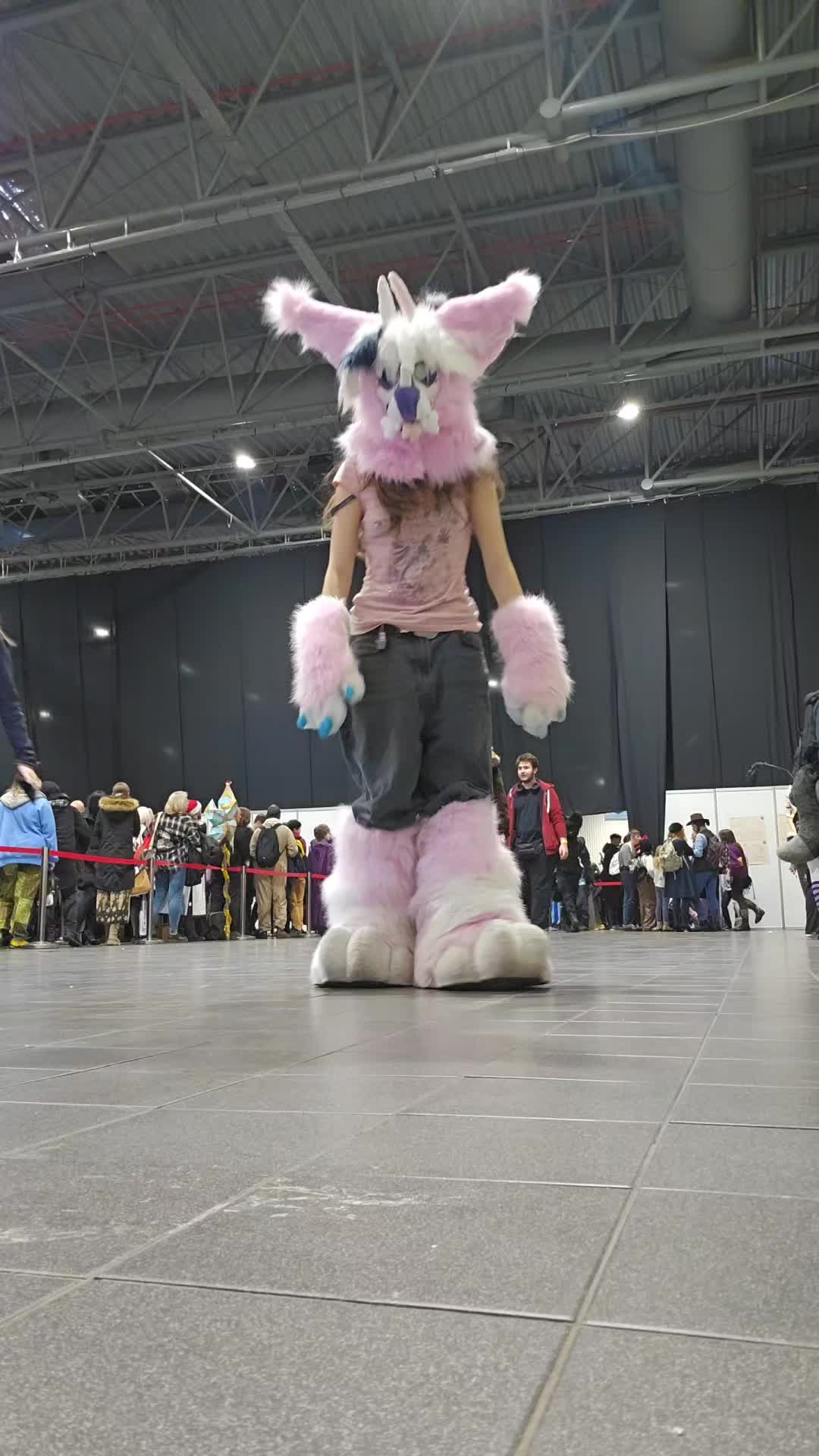 @Żul polny