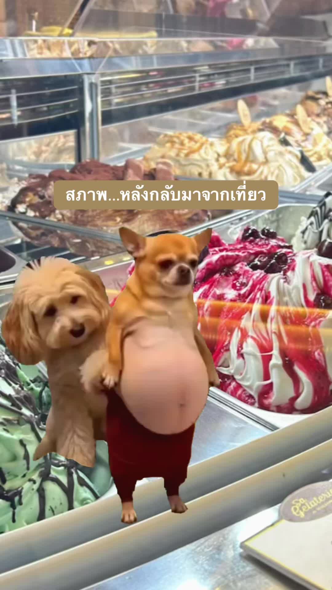 @Ann:)สาวไทยในไอร์แลนด์เหนือ