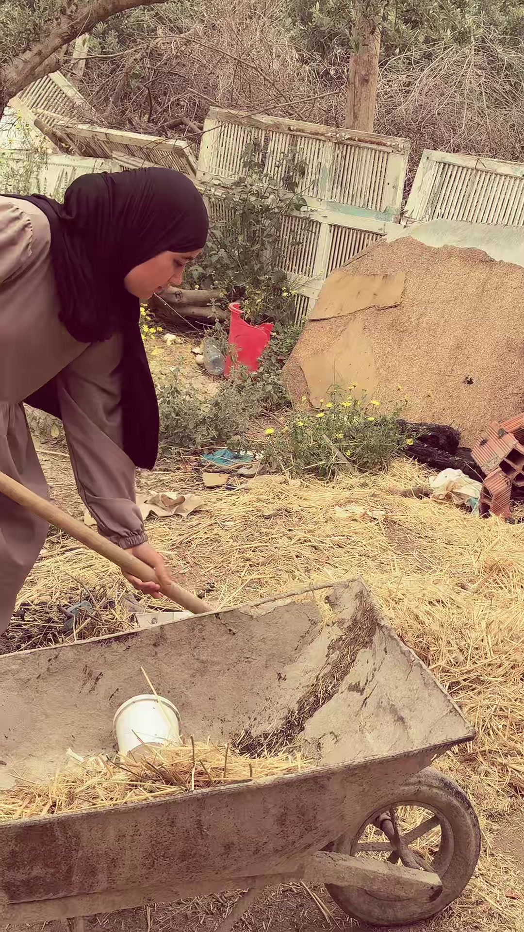 @👑🇹🇳تونسية 🇹🇳👑