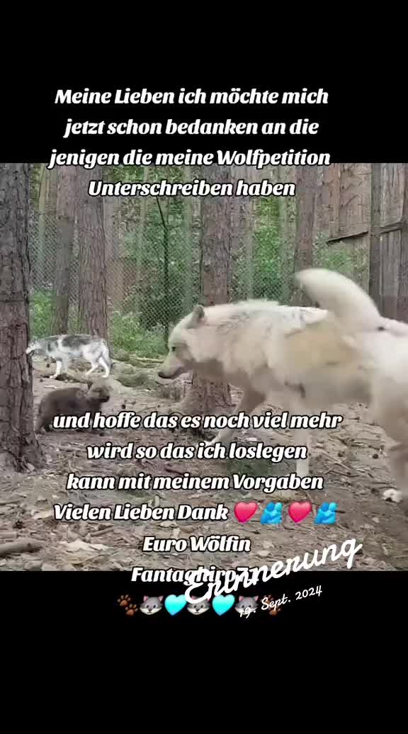 @Schutz für Wolf und Weide 🇦🇹