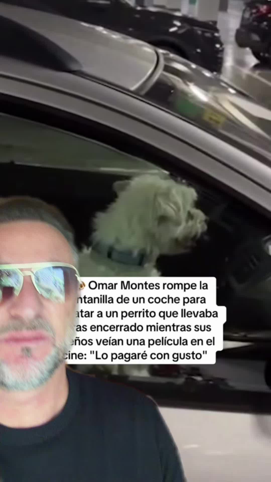 @🙋♂️ #elabogadodetiktok