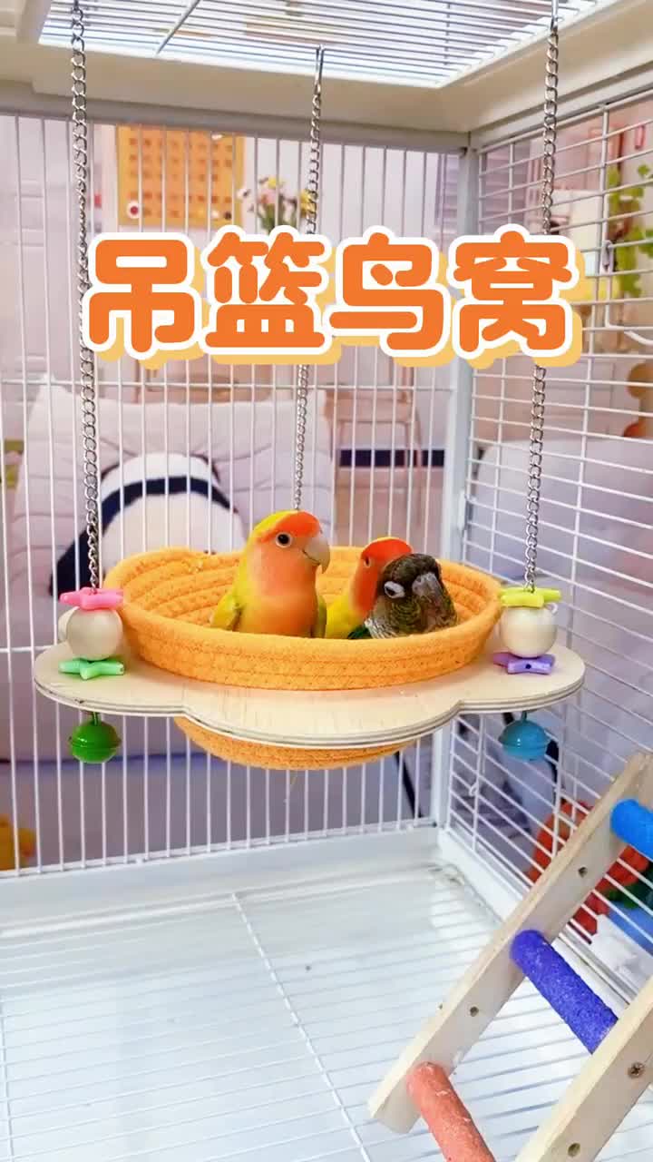 @chinabirds47