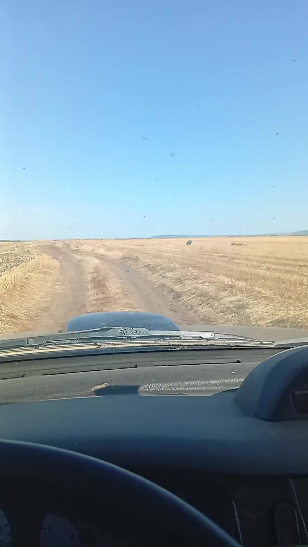 @Mimeto Ivanov