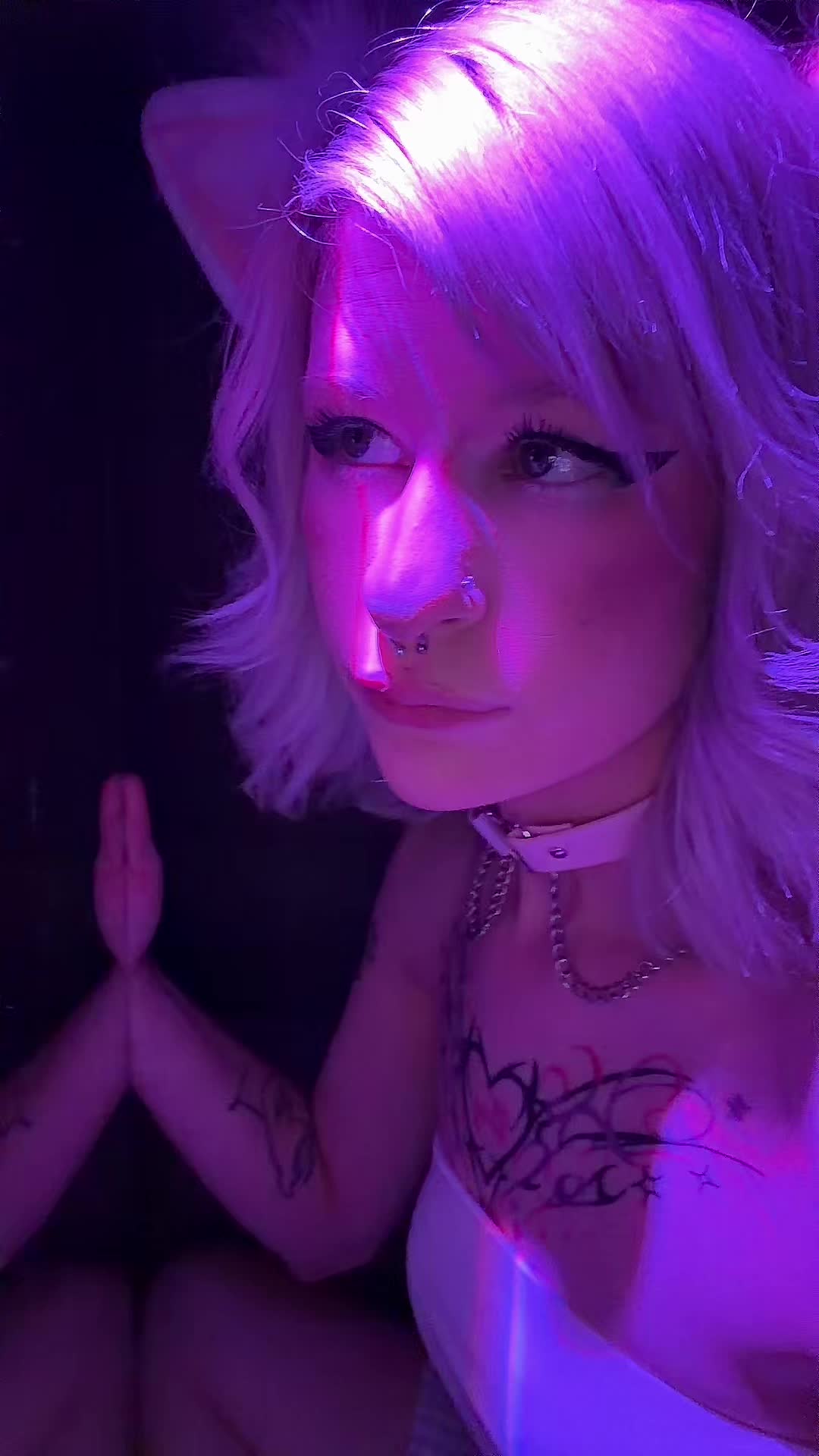 @megs.pie22