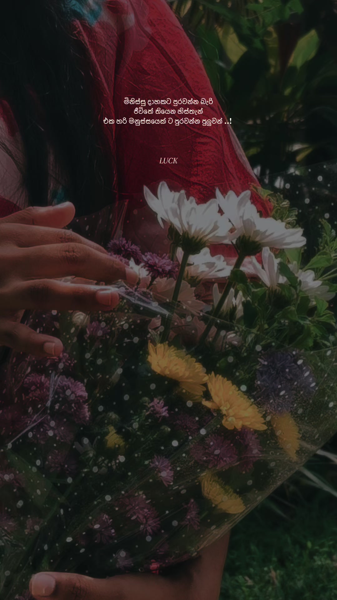 @LUCK ☁️