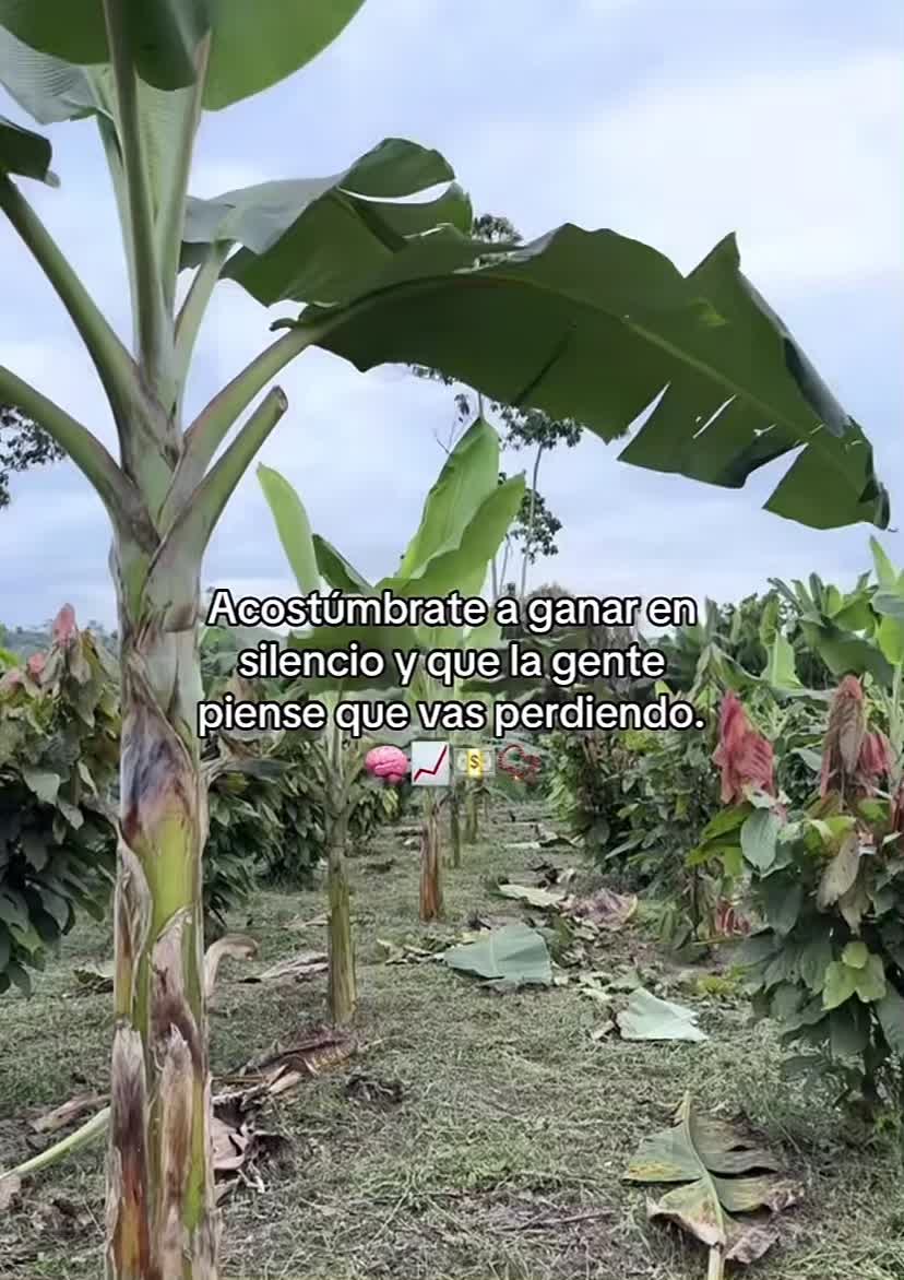 @IaamSaúl<3