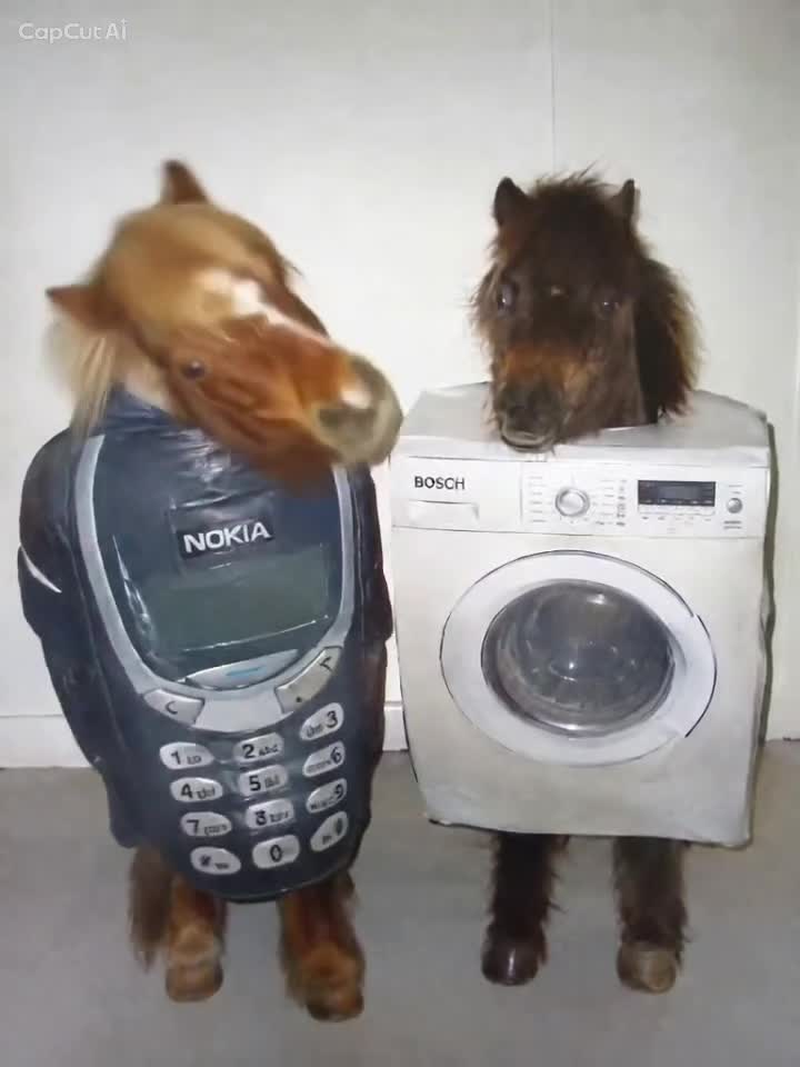 @Tiggien
