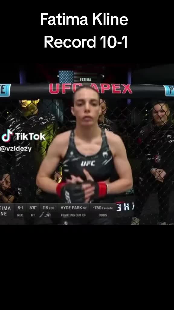 @Chad_YO8🥊💬✨️