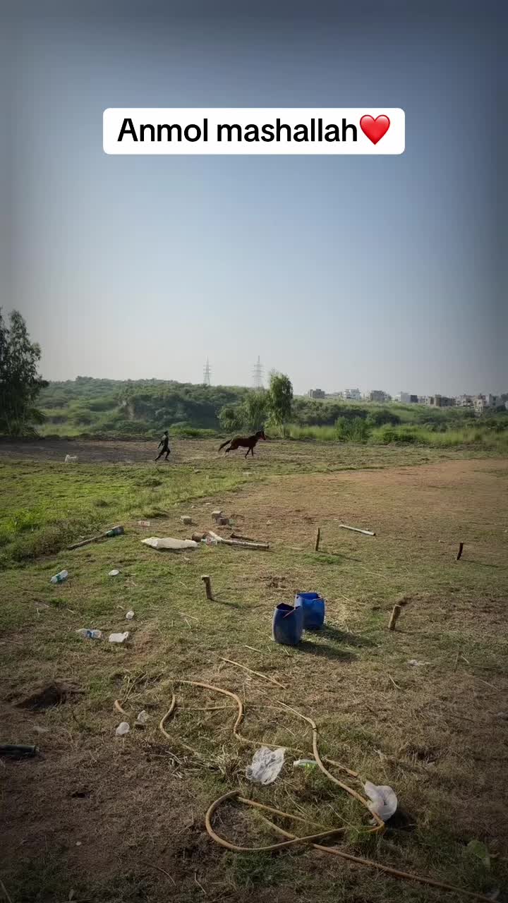 @𝗗𝟰𝗪𝗜𝗜