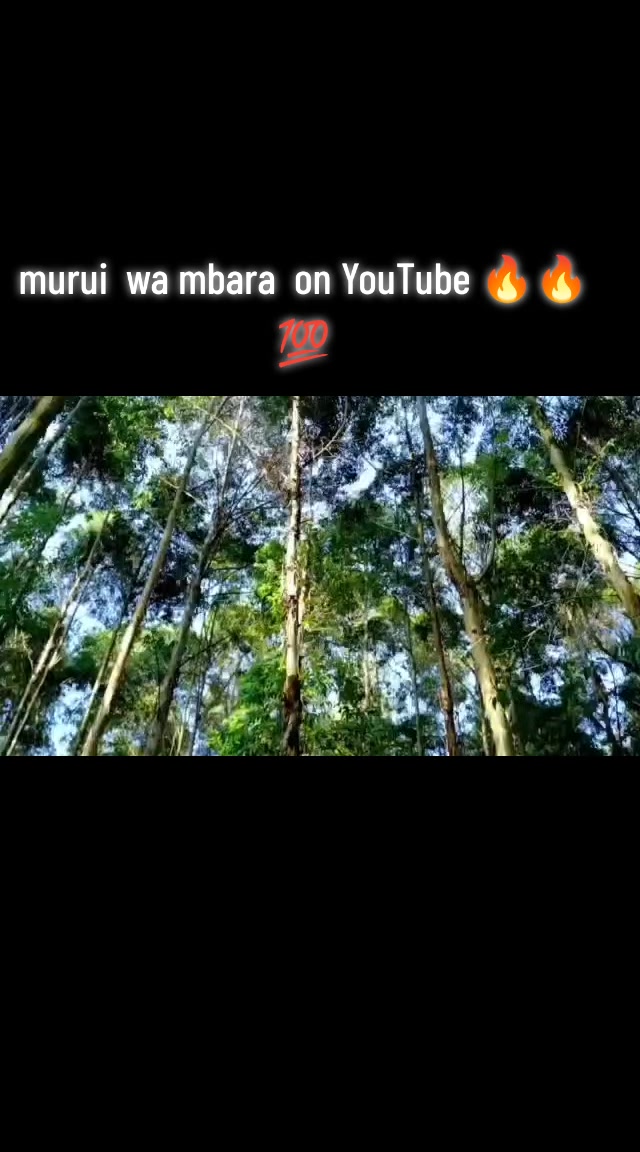 @sheshiiboo