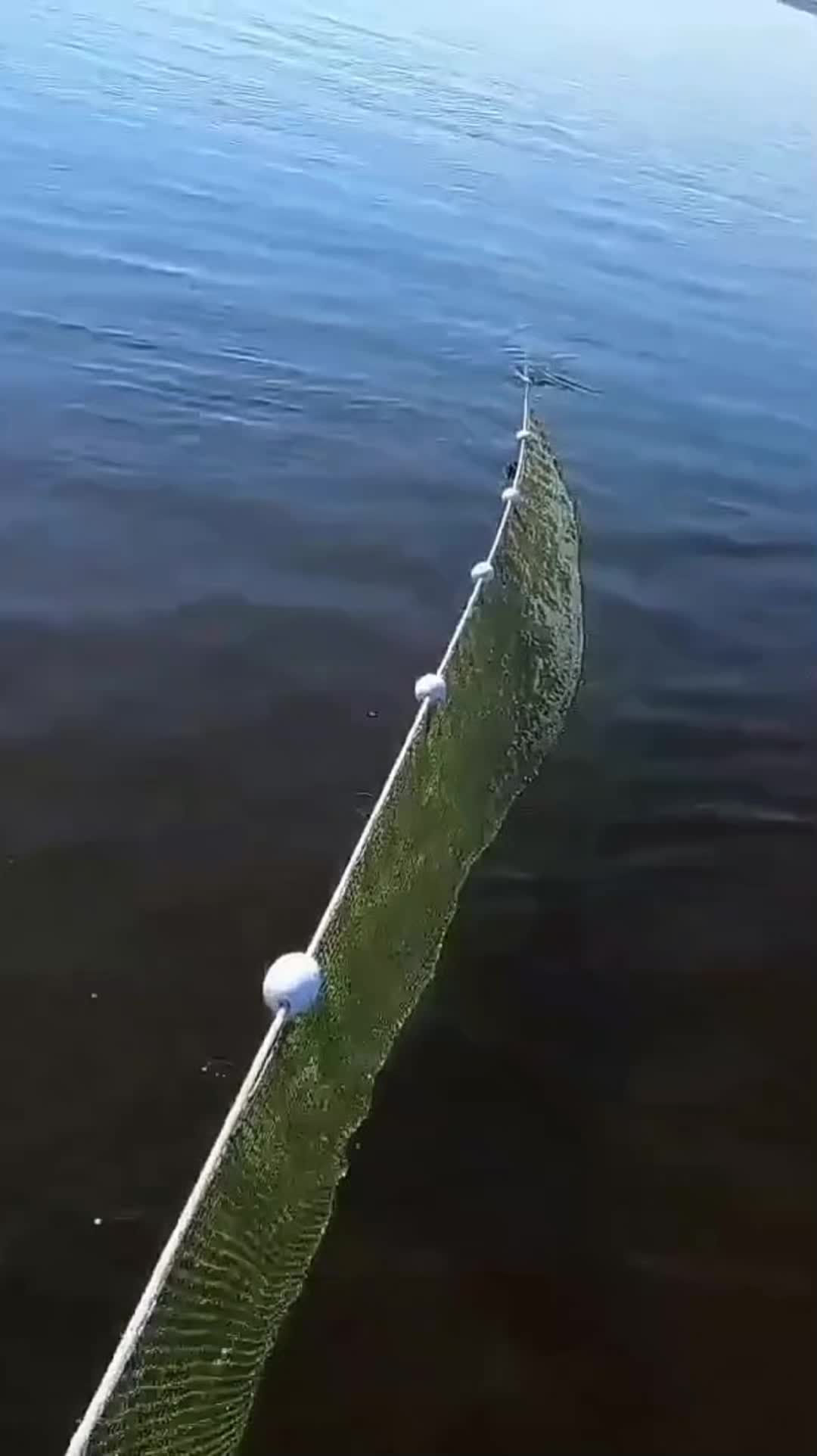 @ribalka_fishing