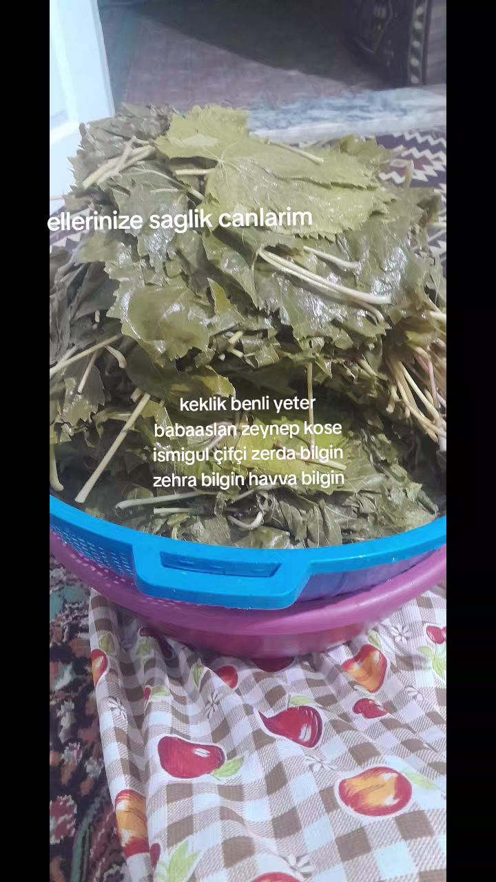 @Havvabilgin