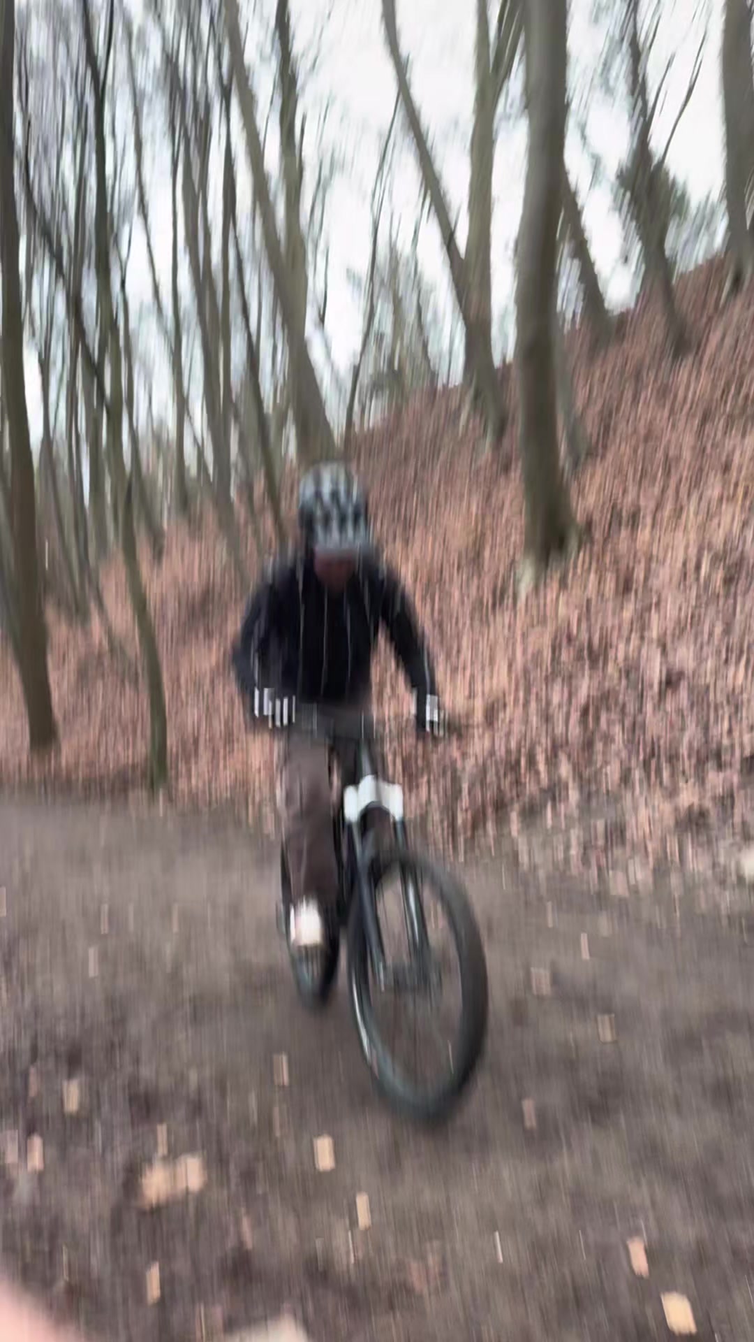 @Levi._.fr🦅🇩🇪