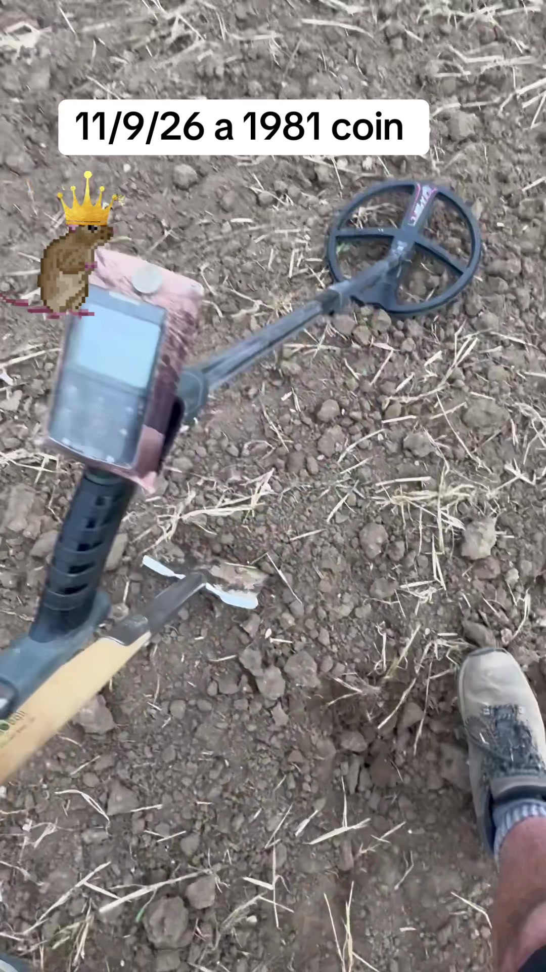 @SirKingRat