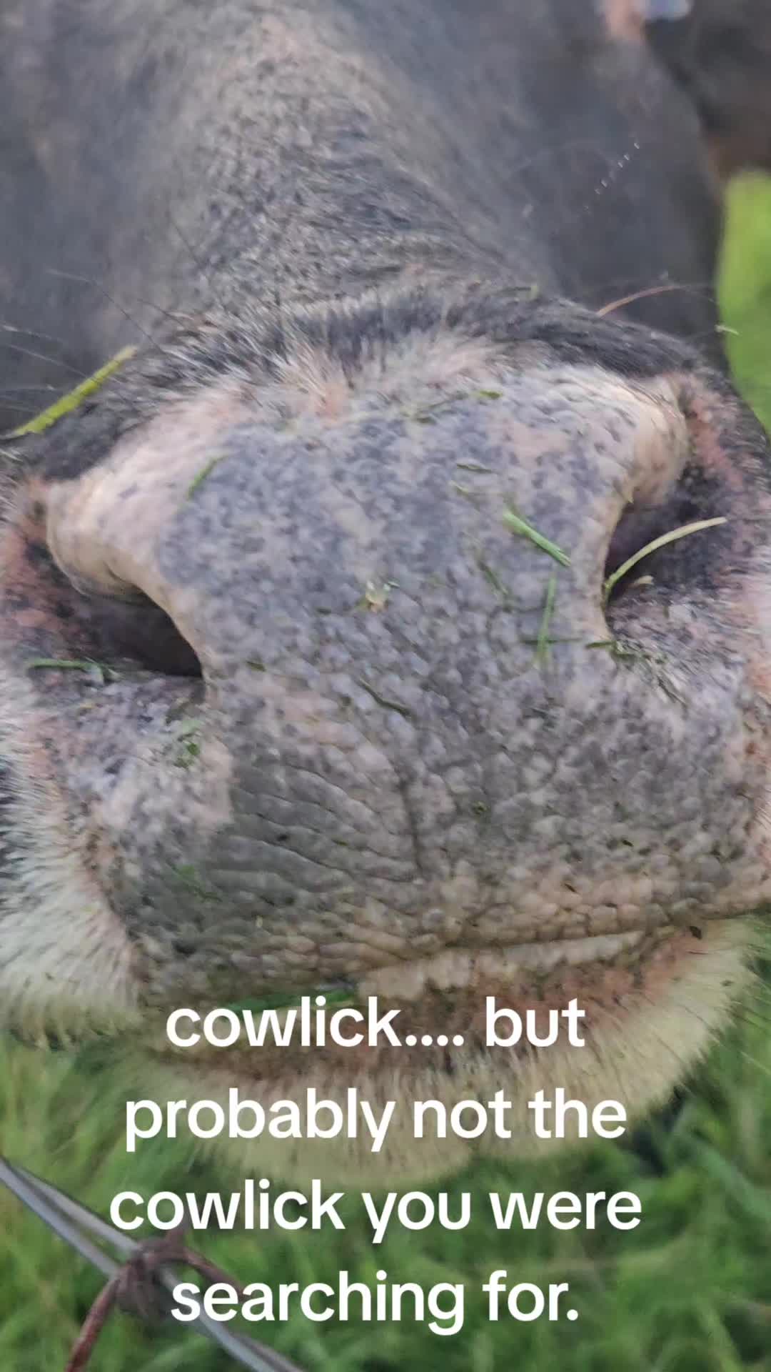 @Davy ❌️Eagon