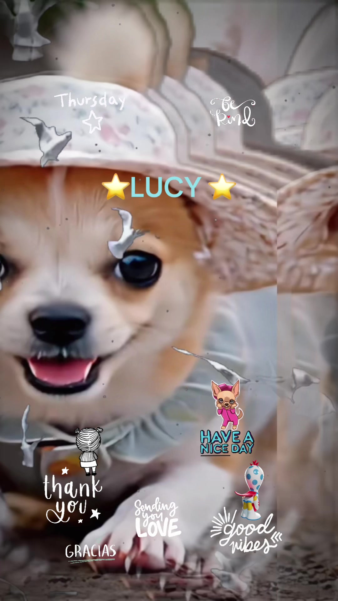@Lucy