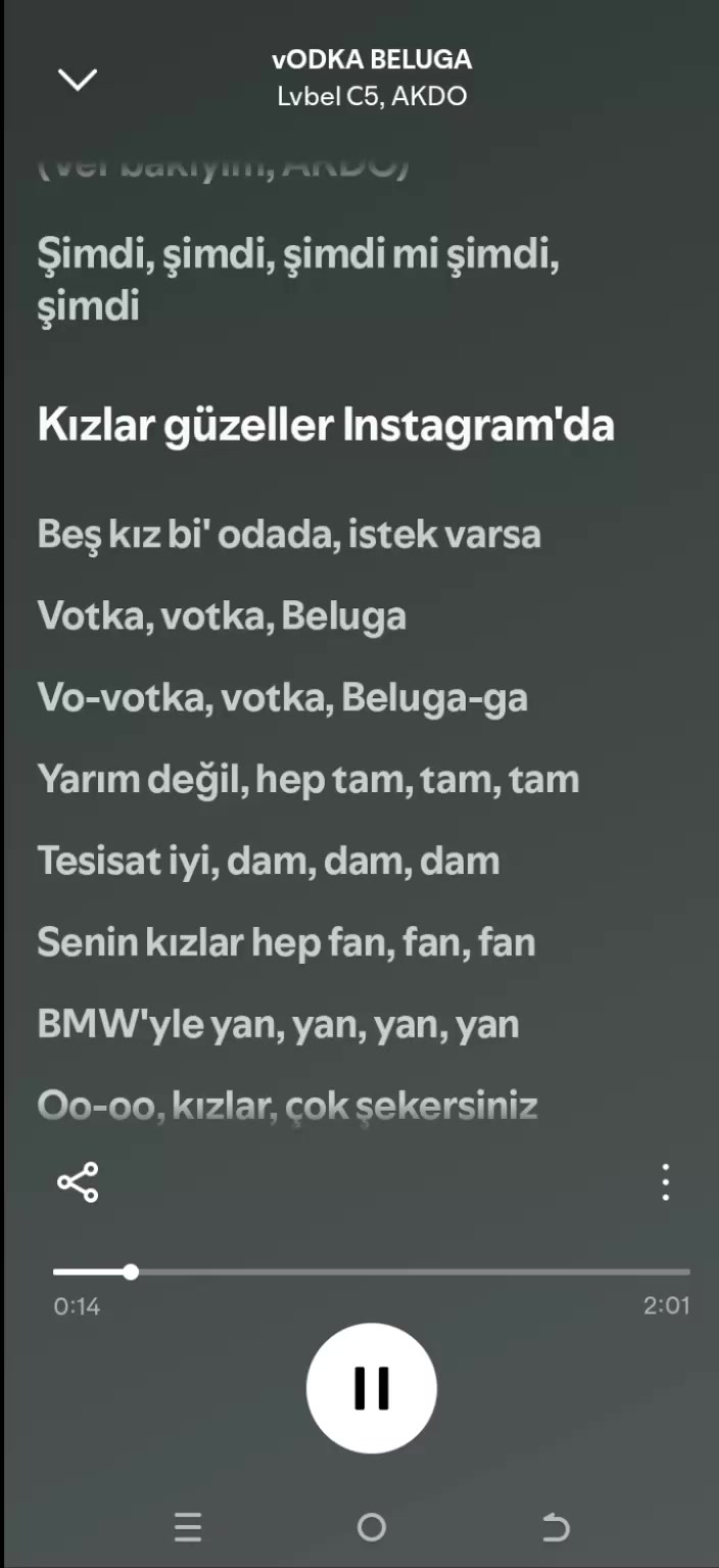 @pro müzik