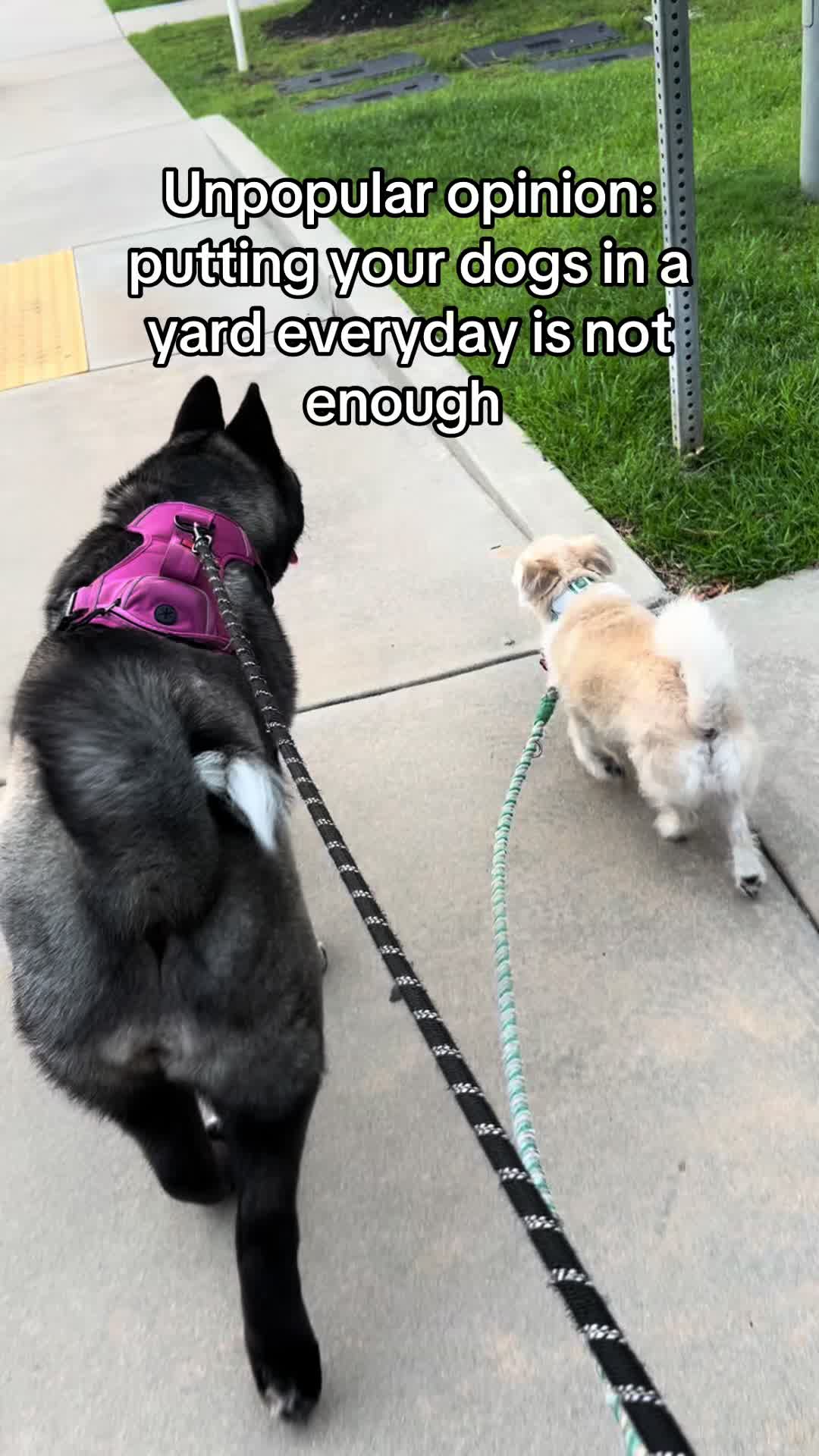 @tailsssss_