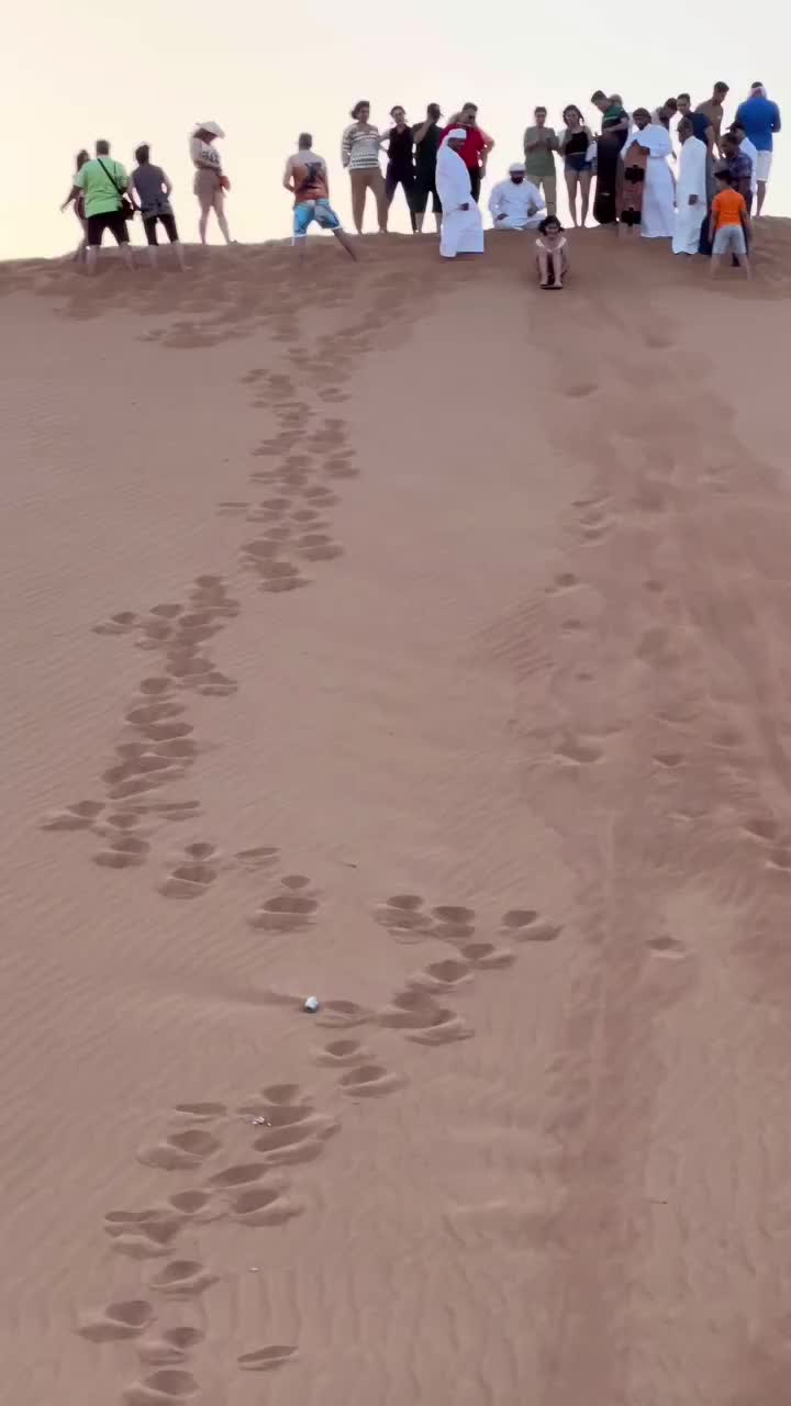 @DESERT SAFARI DUBAI