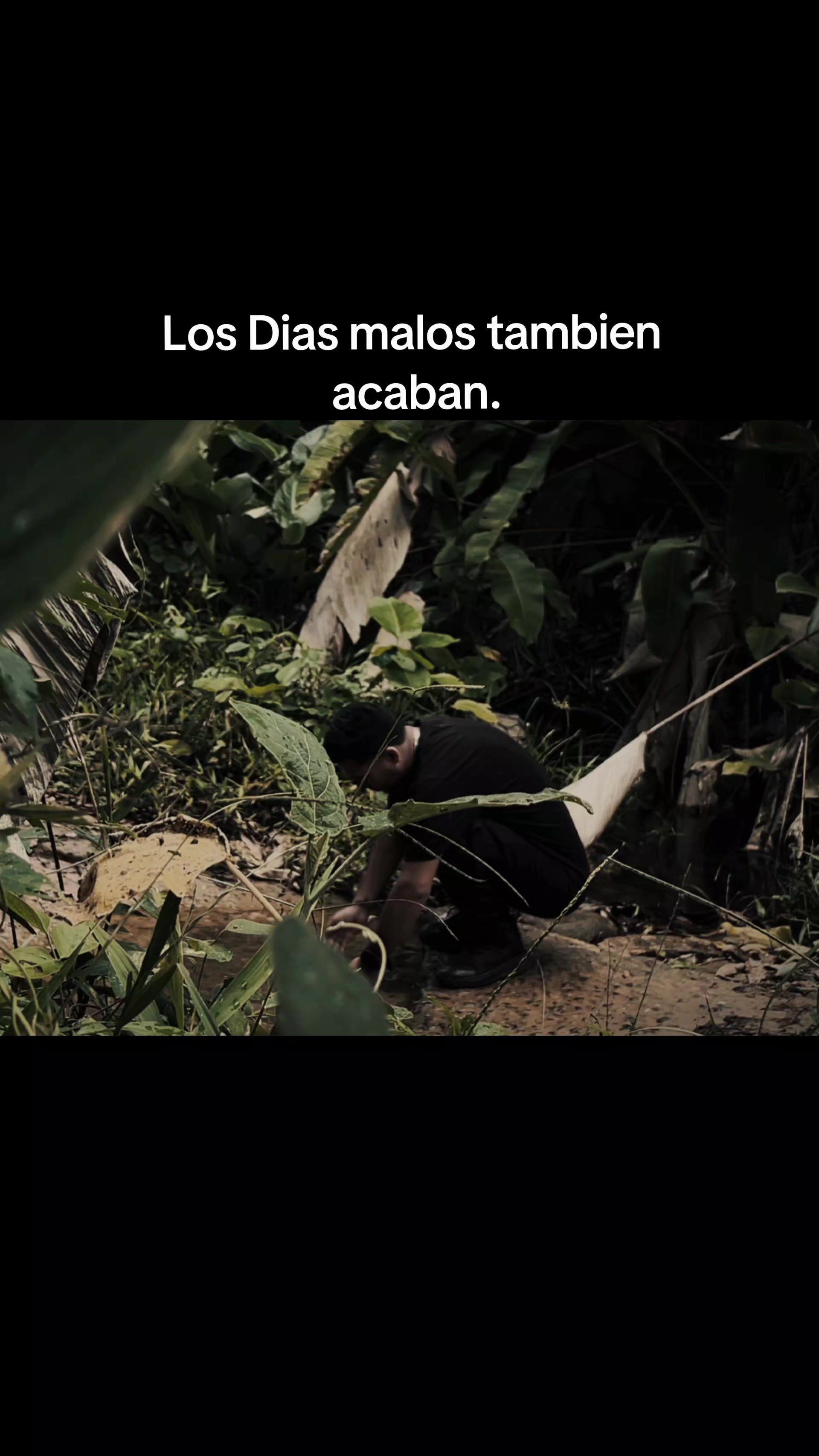 @El-Comis El Rey de la Realidad