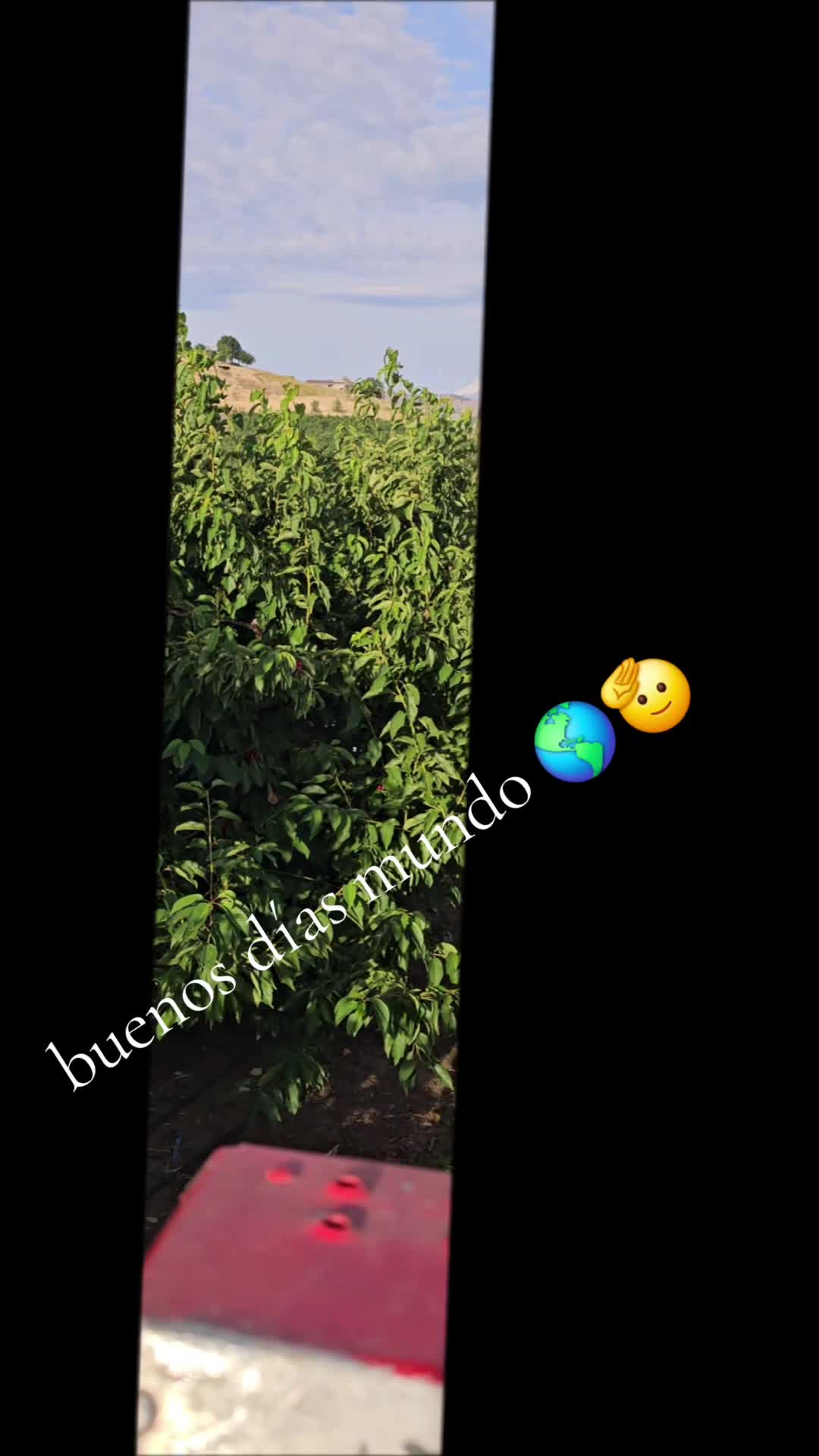 @fulgencio🤠