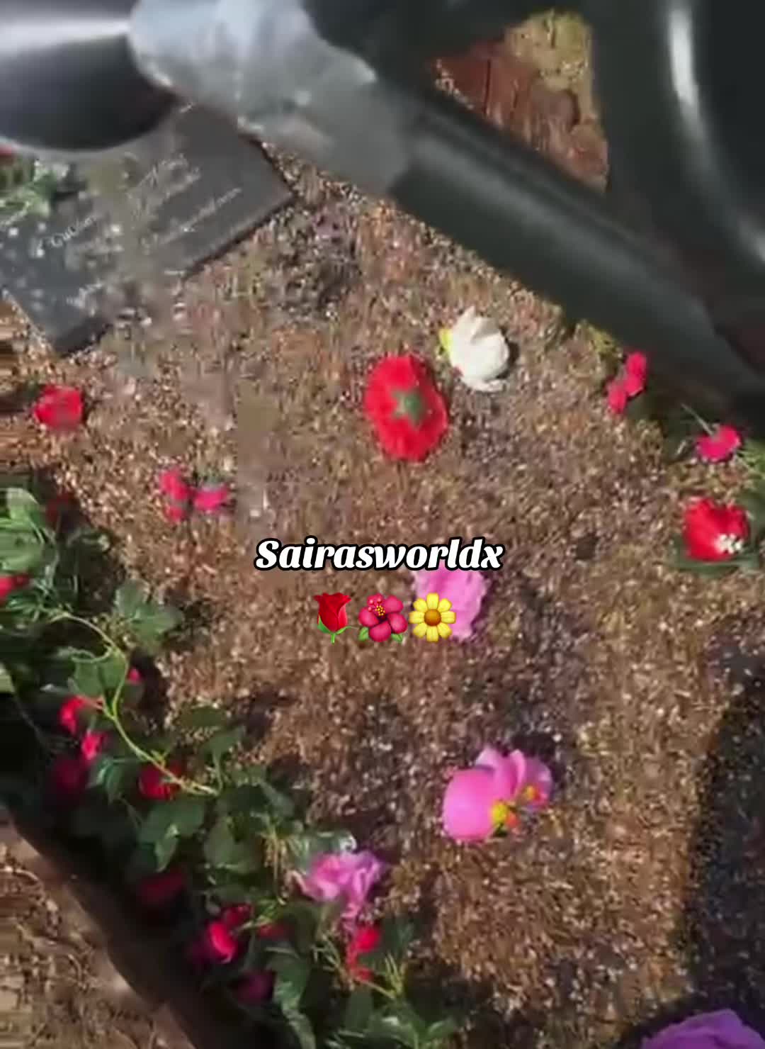 @Sairasworld🥰