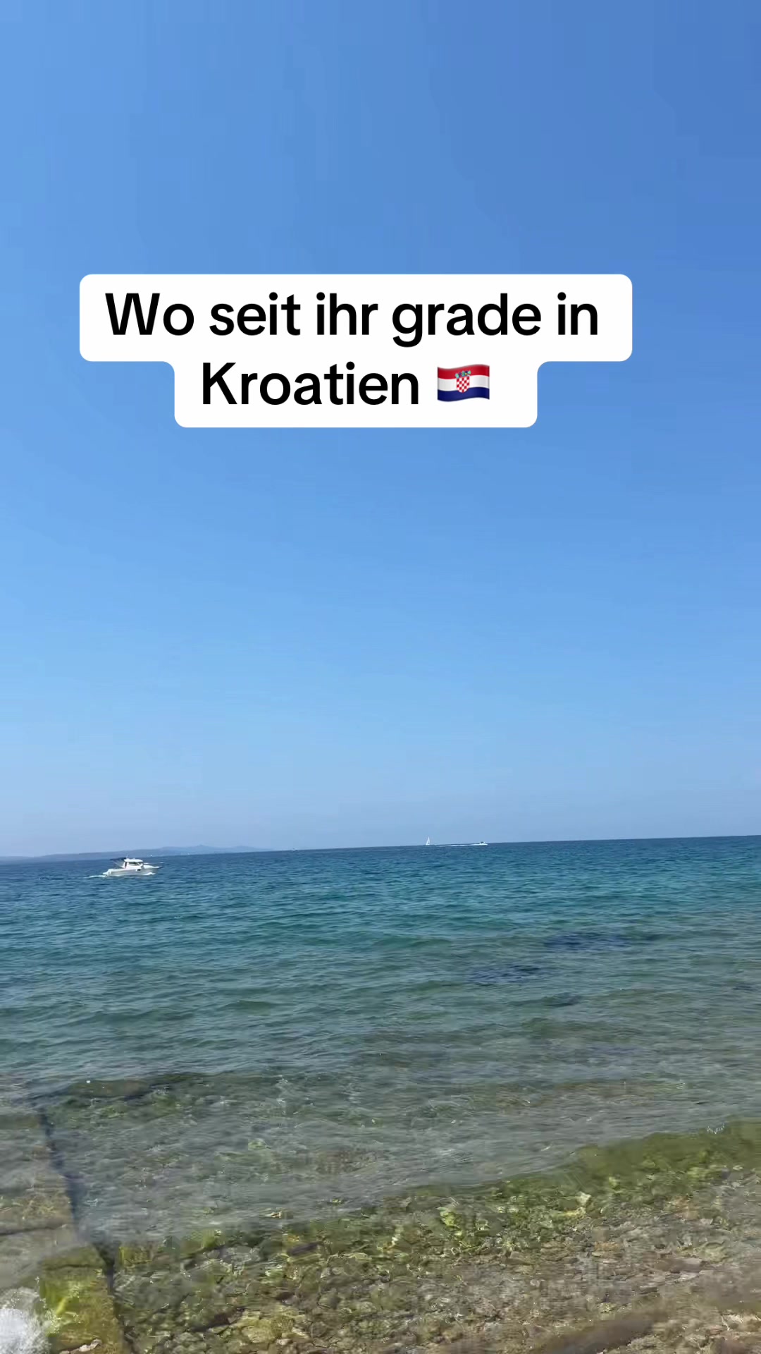 @Solo439