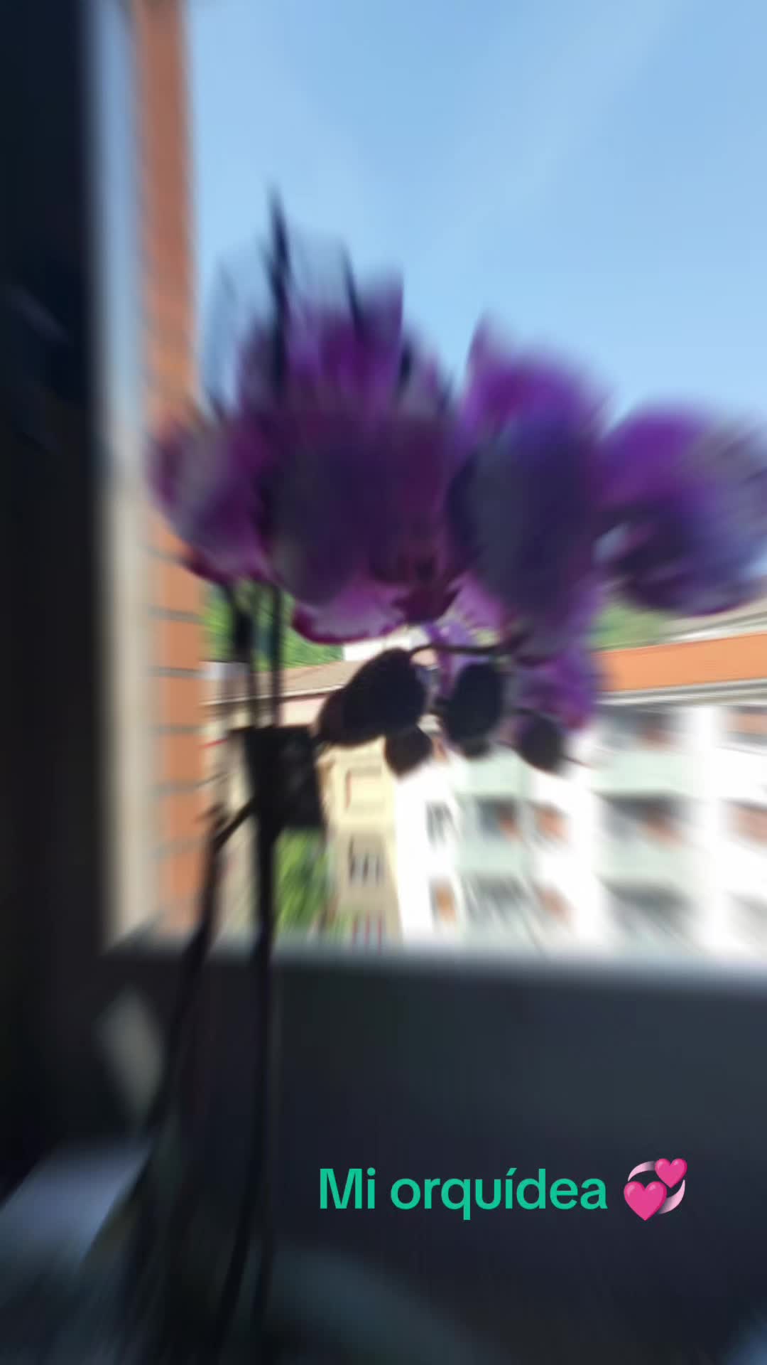 @Pi_CH