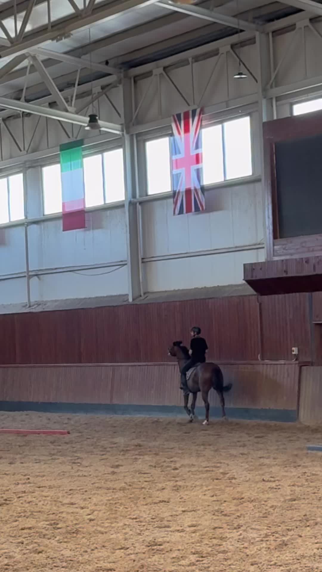 @حە مە🐎🫀