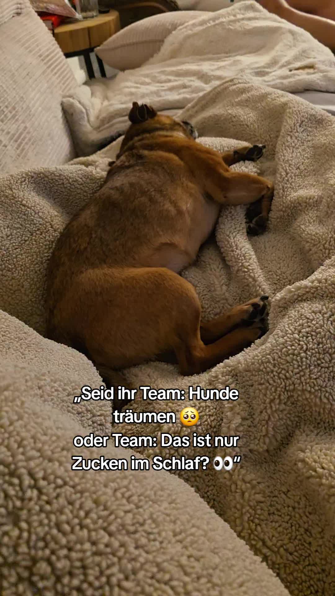 @DAS WUFF HAUS