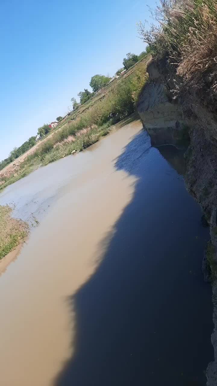 @George Ungureanu