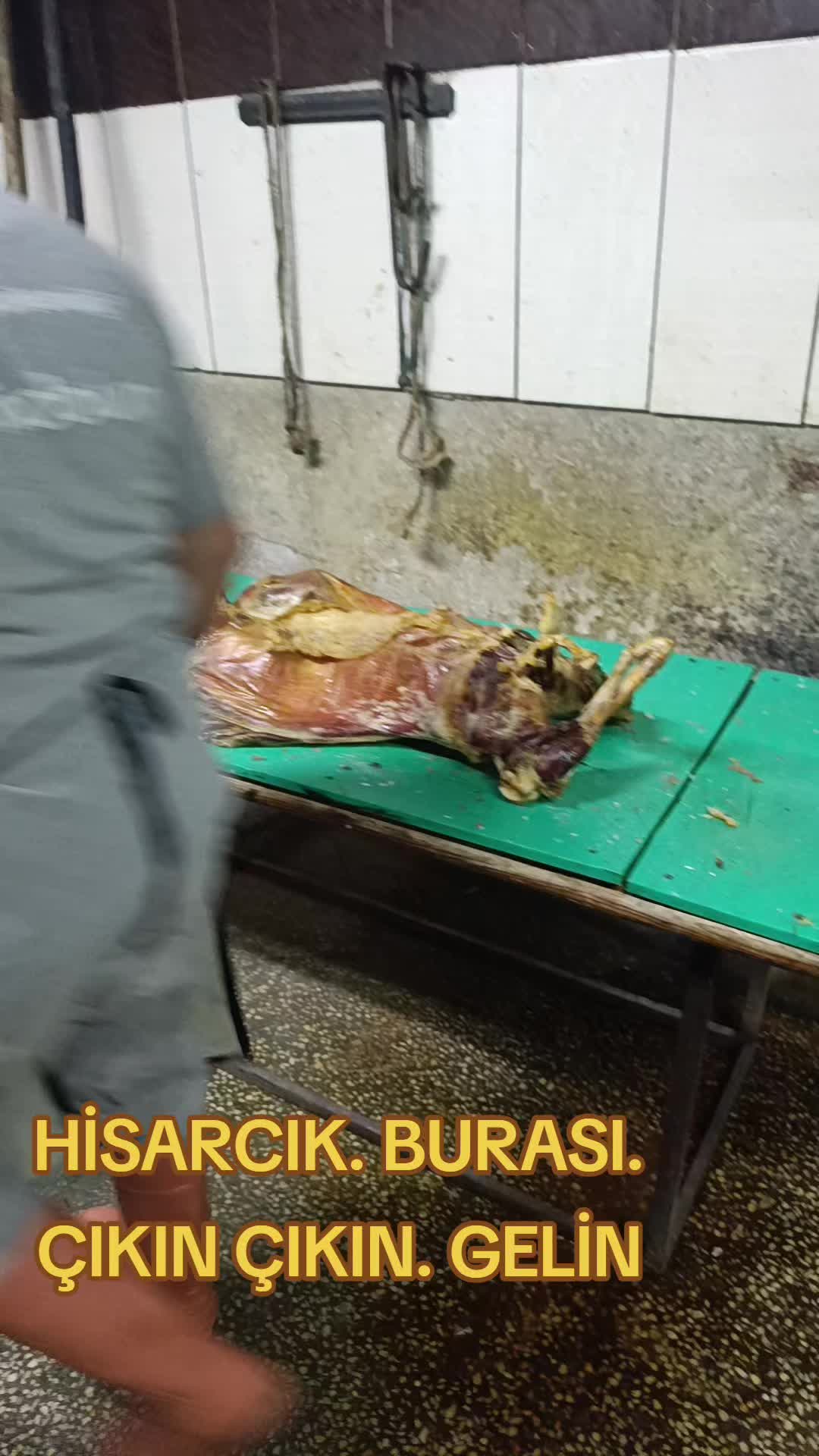 @Mehmet Sarikaş