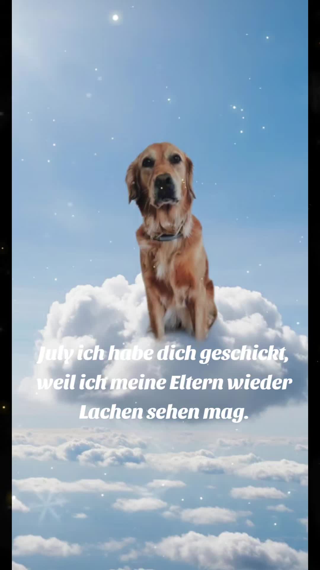 @Katrin Feitl