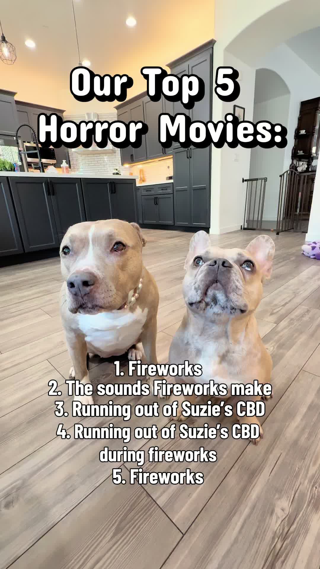 @Indie.pittie