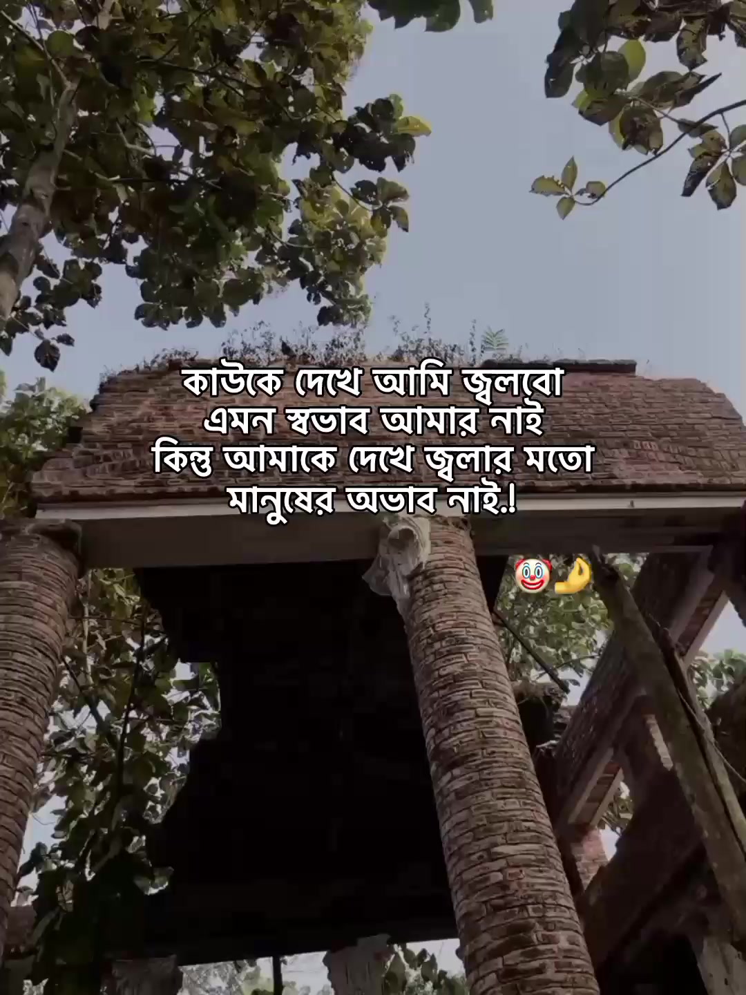 @⁷𝐇𝐚𝐦𝐢𝐝𝐚◡🧃