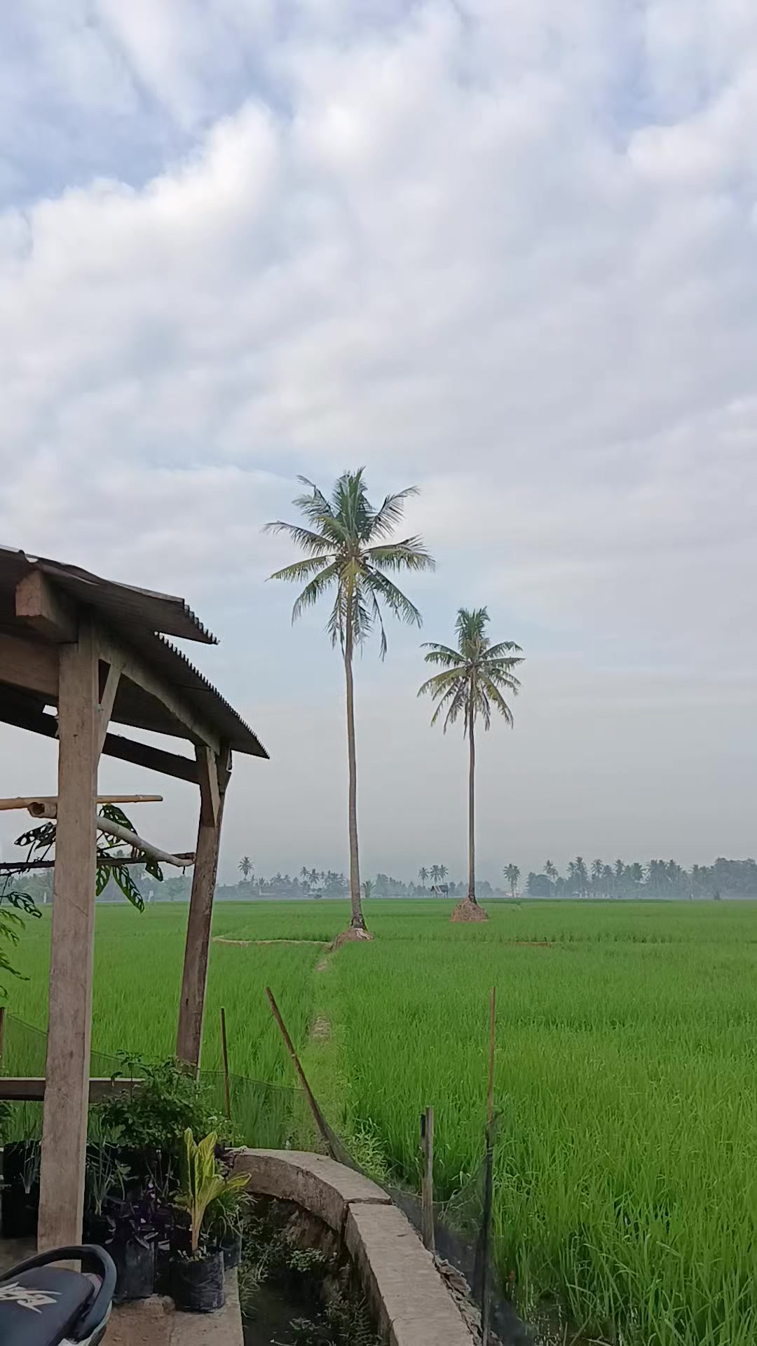 @sukismotor