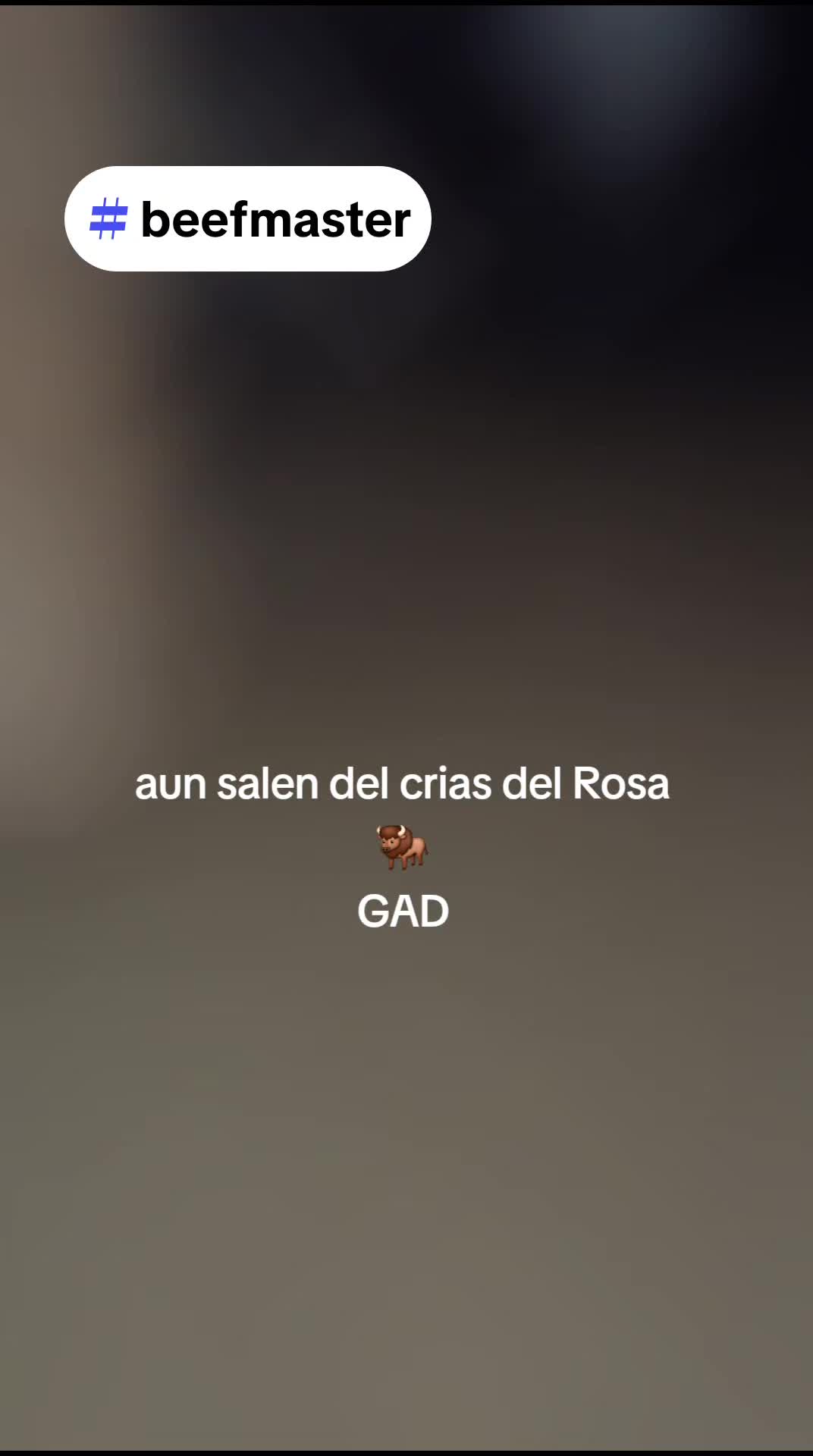 @BarbaCerrada0519