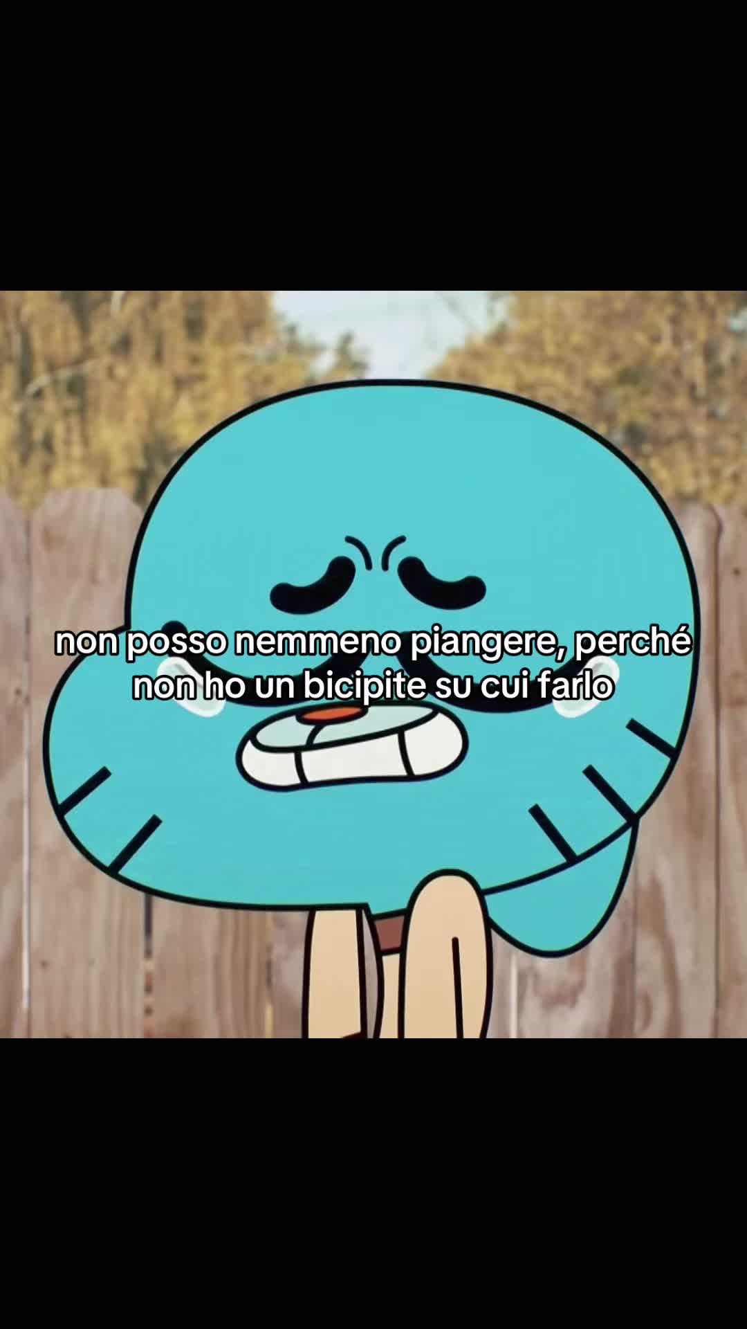@🧸