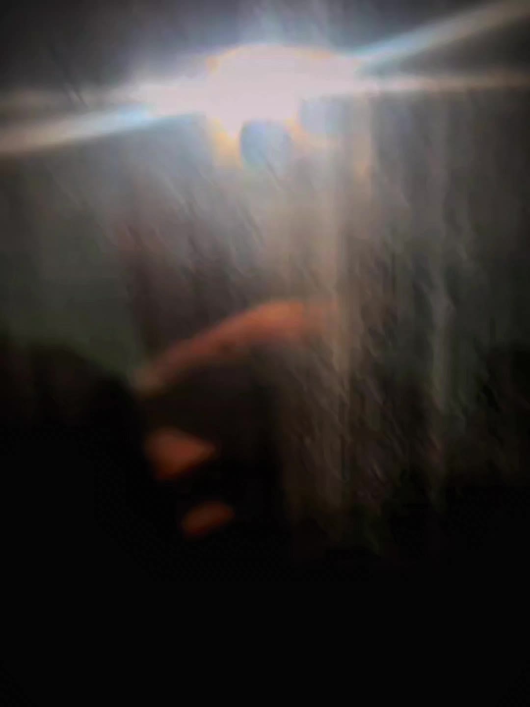 @Landry Grandstaff Fan
