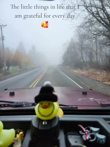 @pNwJk