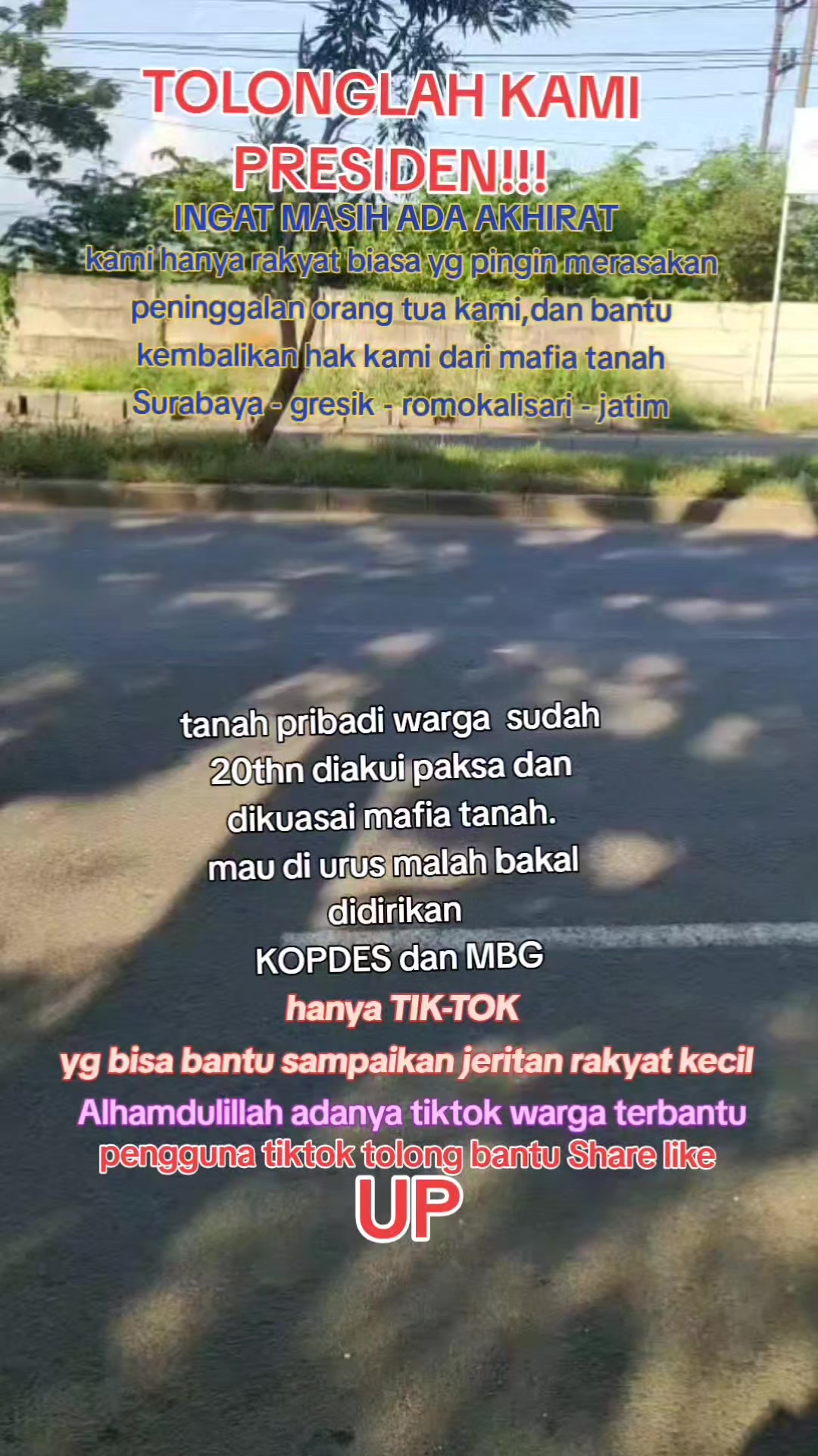 @ANCENE