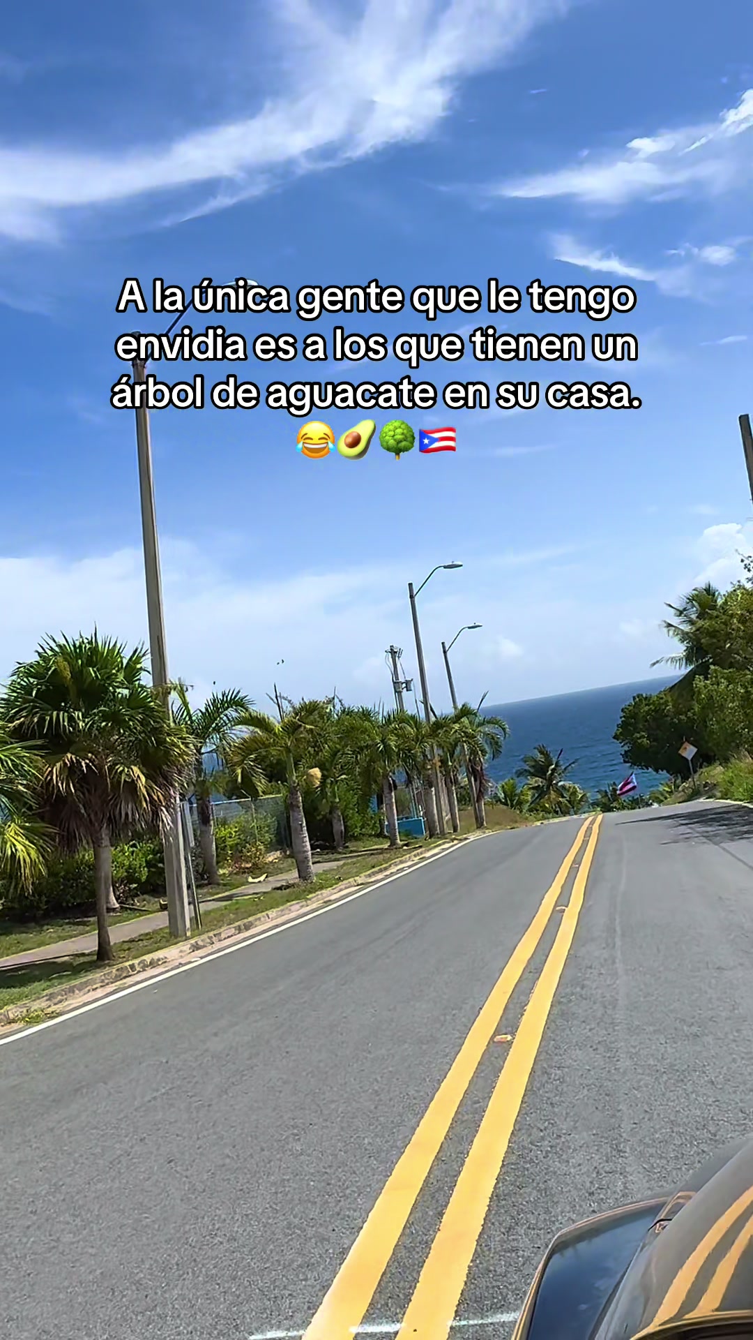 @Joel san🇵🇷🇵🇷🇵🇷