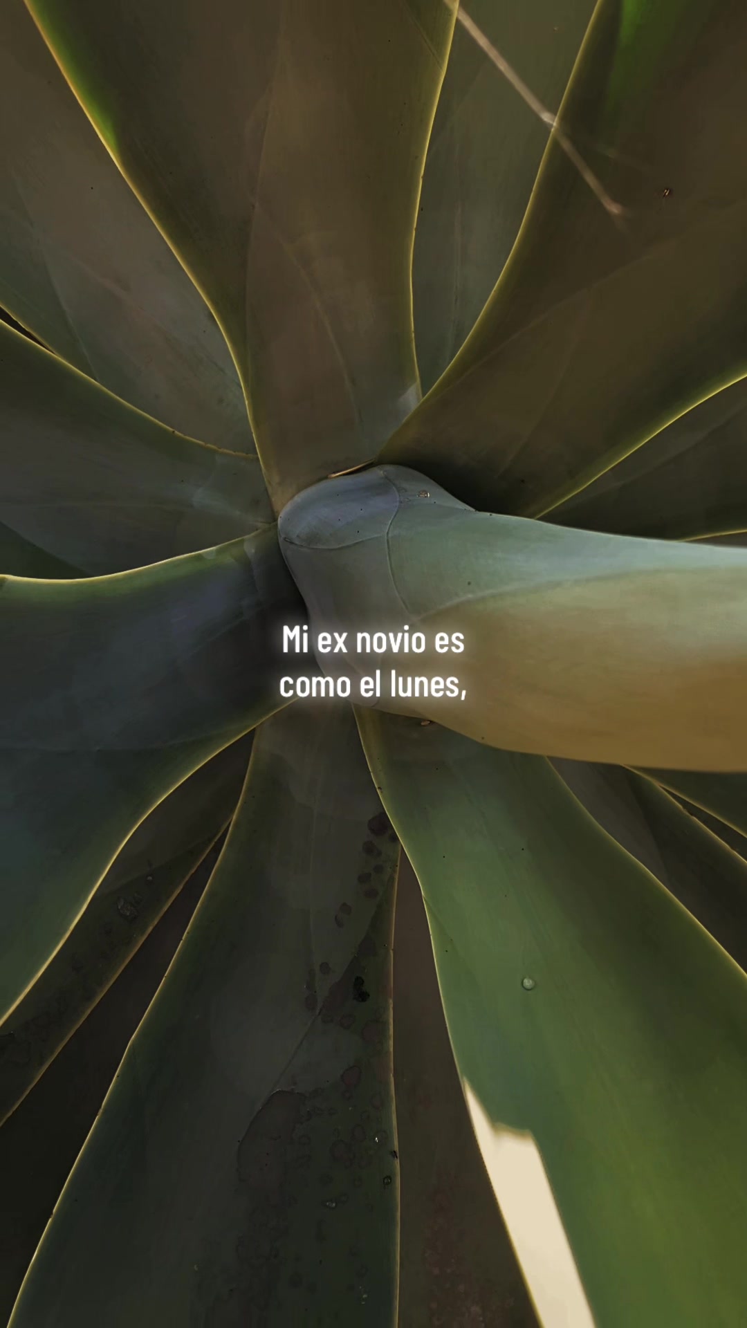 @Mariana Reyes
