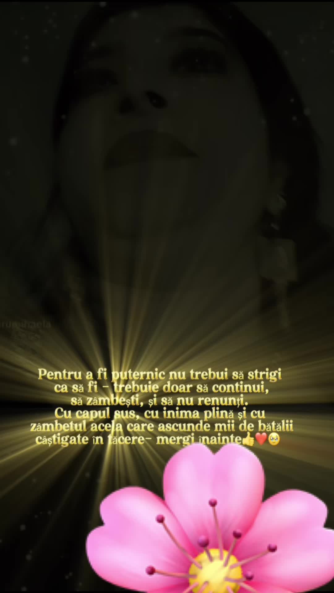 @Bacelaru Mihaela